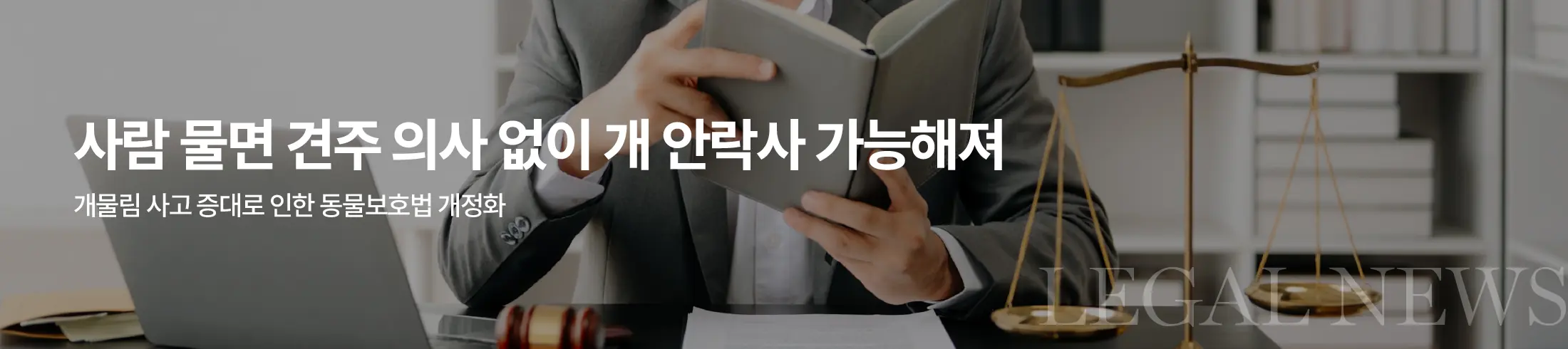 사람 문 개, 견주 의사 없이 안락사 가능